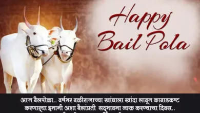 Happy Bail Pola 2023 Marathi Quotes, Images, Wishes, Greetings, Shayari, Cliparts, Instagram Captions and WhatsApp Status