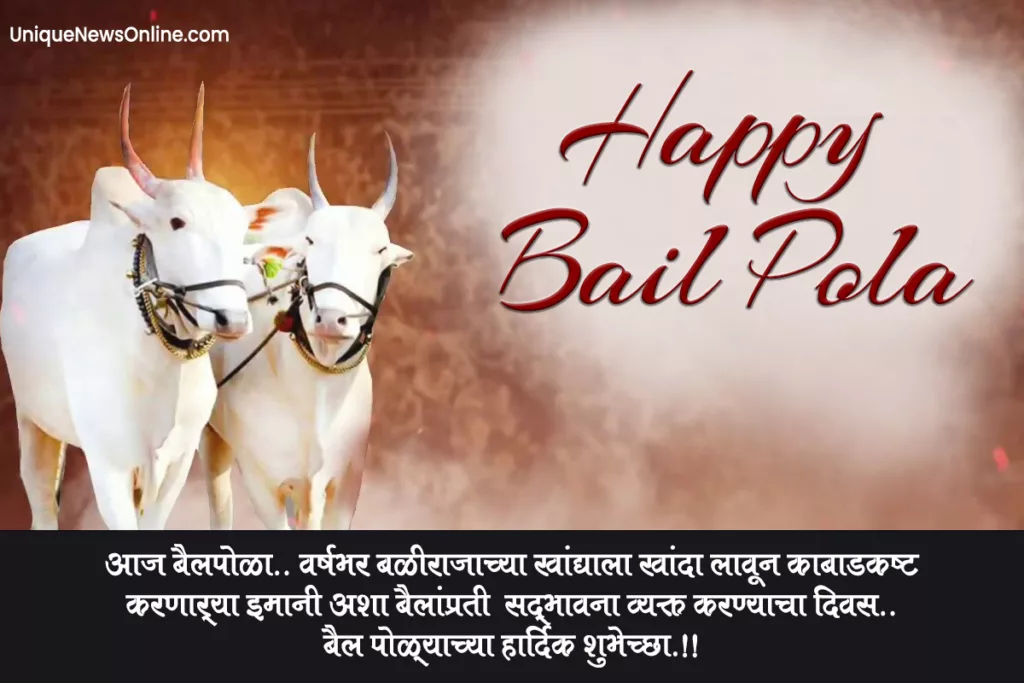 Happy Bail Pola 2023 Marathi Quotes, Images, Wishes, Greetings, Shayari, Cliparts, Instagram Captions and WhatsApp Status