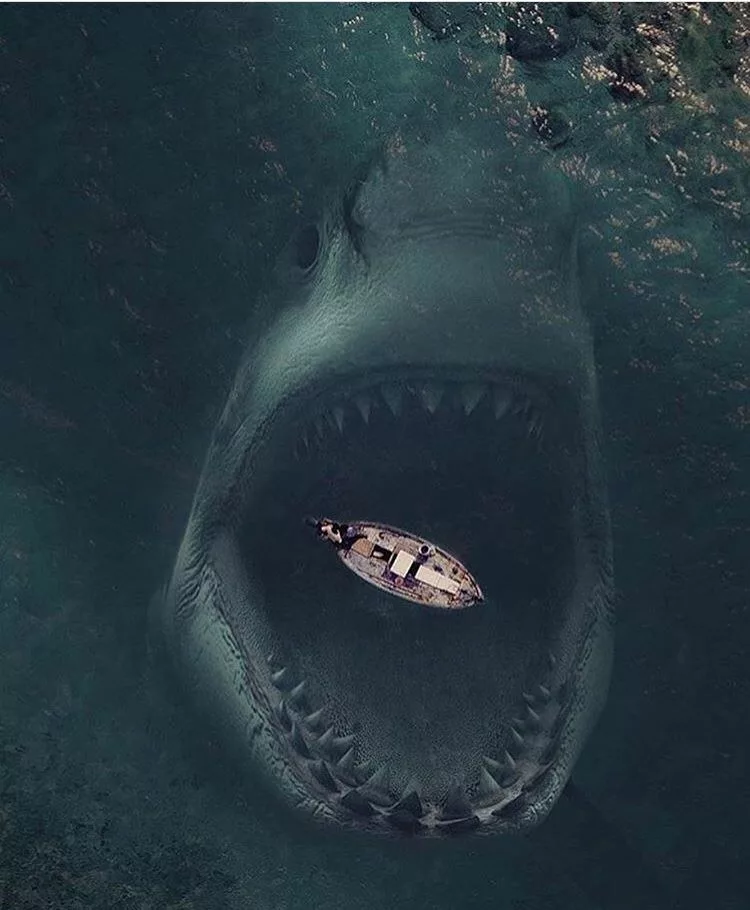 WATCH: Fisherman Daniel Gomez Catching a Megalodon Shark Tiktok Video Goes Viral On Twitter, Reddit