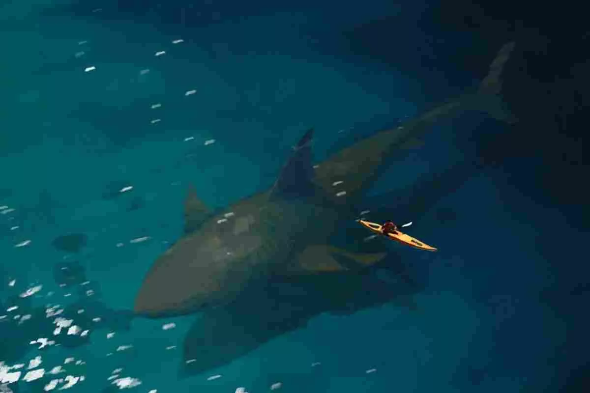 WATCH: Fisherman Daniel Gomez Catching a Megalodon Shark Tiktok Video Goes Viral On Twitter, Reddit