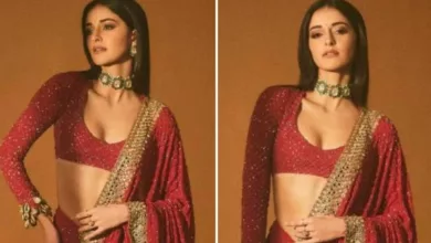 Ananya Panday In Arpita Mehta's Red and Gold Saree Makes Her Look Majestic