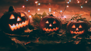 Happy Halloween 2023: Best Instagram Captions, Facebook Greetings, Twitter Images, Pinterest Cliparts, Reddit Memes, and WhatsApp Stickers