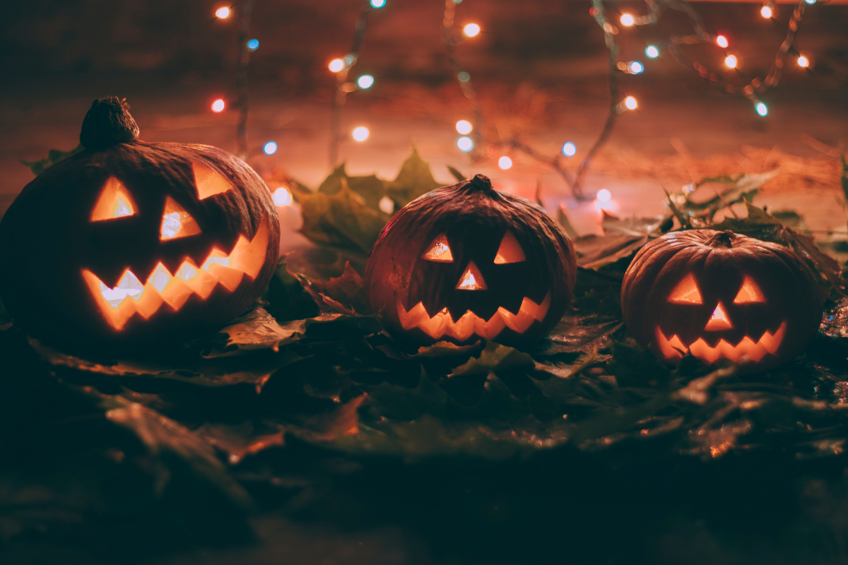 Happy Halloween 2023: Best Instagram Captions, Facebook Greetings, Twitter Images, Pinterest Cliparts, Reddit Memes, and WhatsApp Stickers