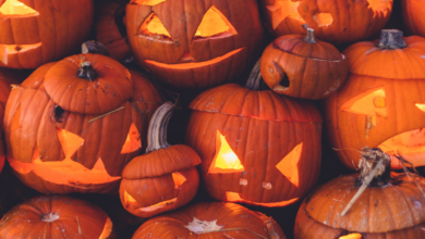Happy Halloween 2023: 30+ Best WhatsApp Status Videos To Download For Free