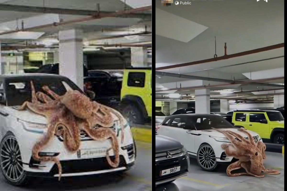 Watch the infamous Qatar car park octopus video going viral on the internet. Read to know whether it is real or fake