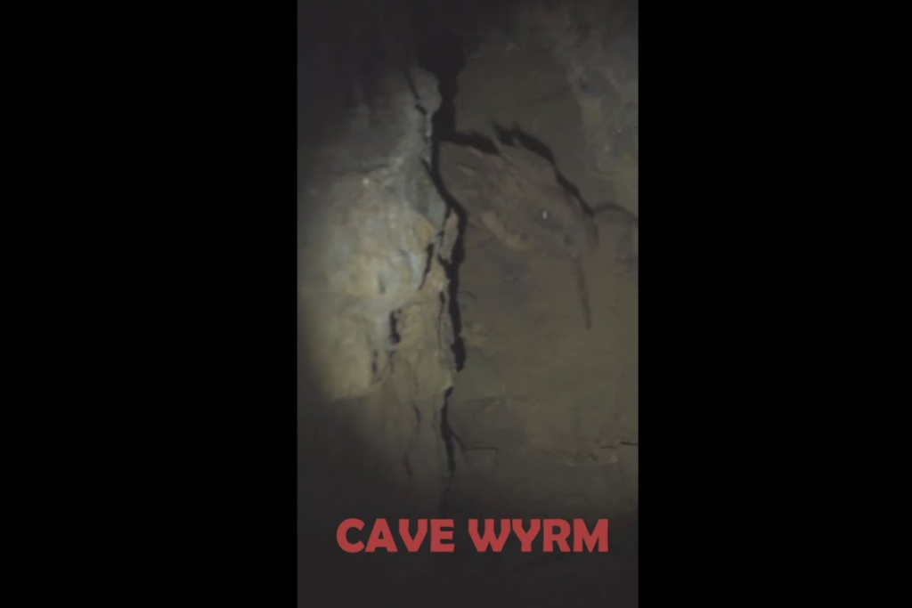 Cave Wyrm Viral Video