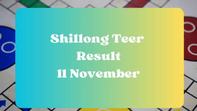 Shillong Teer Result Today 11.11.2023 LIVE UPDATES: First And Second Round