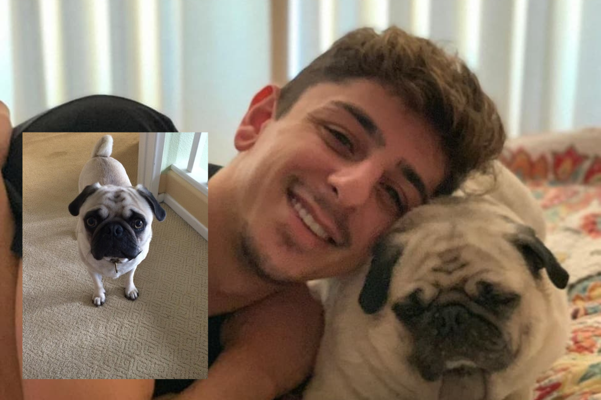 Bosley Cause of Death, What happened to the FaZe Rug's Pet Dog?