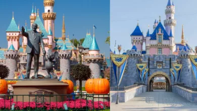 Video and photos of Disneyland Anaheim California streaker goes viral on the internet 