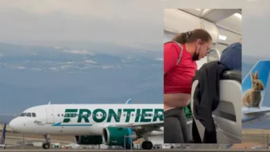 Bizarre Video Of Frontier Airlines Woman Pulling Down Pants in Aisle Went Viral: Check Wild Reactions Here