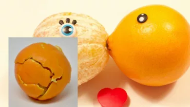 Wanna Test Your Love Out? Check Out The 'Orange Peel Theory' Which Went Viral On TikTok