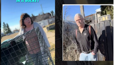 Disturbing video of Robert Cartier of Big Valley allegedly drowning cat goes viral, stirs outrage in the media