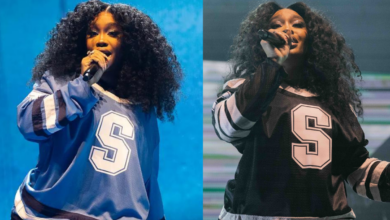 Watch the video of a fan twerking at a security guard during the SZA concert