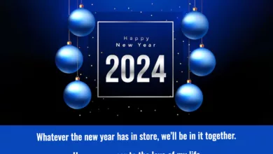 Happy New Year 2024 GIFs, Memes, Cliparts, Stickers, Drawings, Sketches, PNG Images, and JPG Graphics
