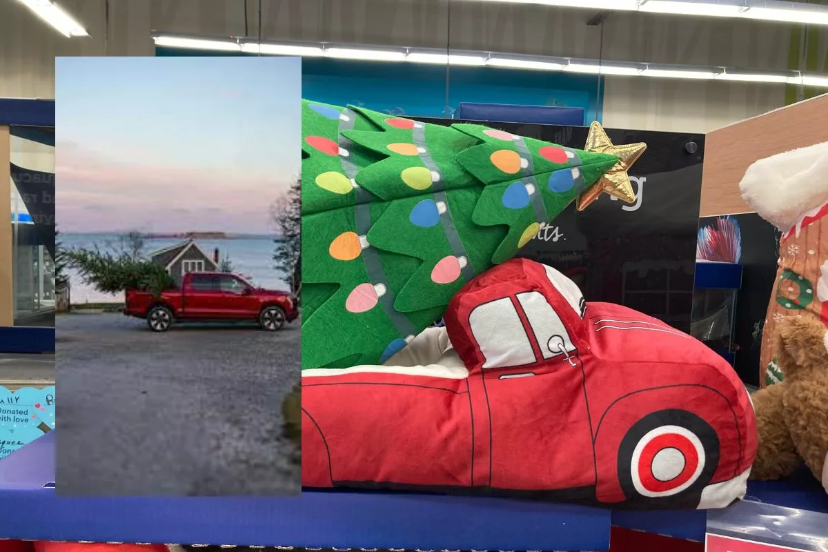 The Phrase, 'Little Red Truck Hauling A Christmas Tree' Goes Viral On The Internet, Heres What It Means