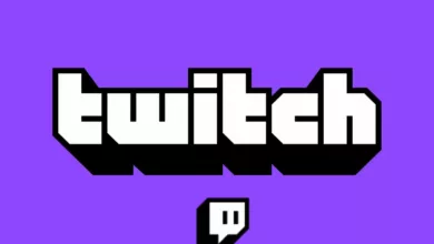 New 'Topless Meta' Makes Their Twitch Live Debut After The 'Morgpie' Incident