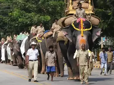 Ambari Elephant Arjuna Death Cause: How did the famous elephant die?