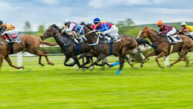 Highlighting the big horse races in the United Kingdom and Ireland over the festive period