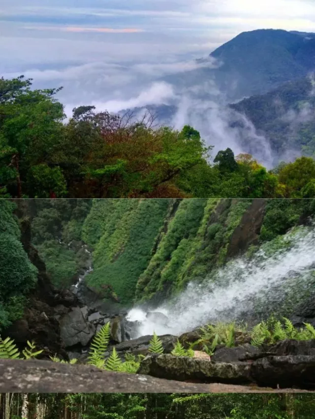 Top 10 Wettest Places in India