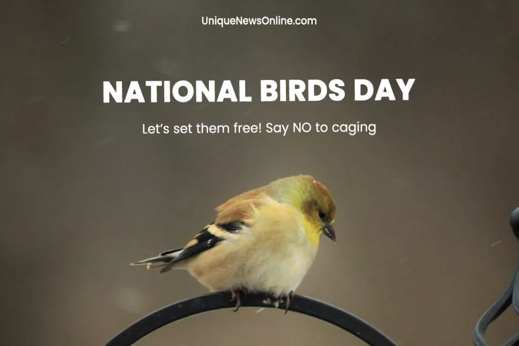 National Bird Day Messages