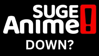 Is Animesuge Down on 19 January 2024? What Happened To The Animesuge Website?