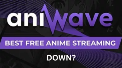 Is Aniwave Down Today 16 January 2024? What Happened To Aniwave Website?