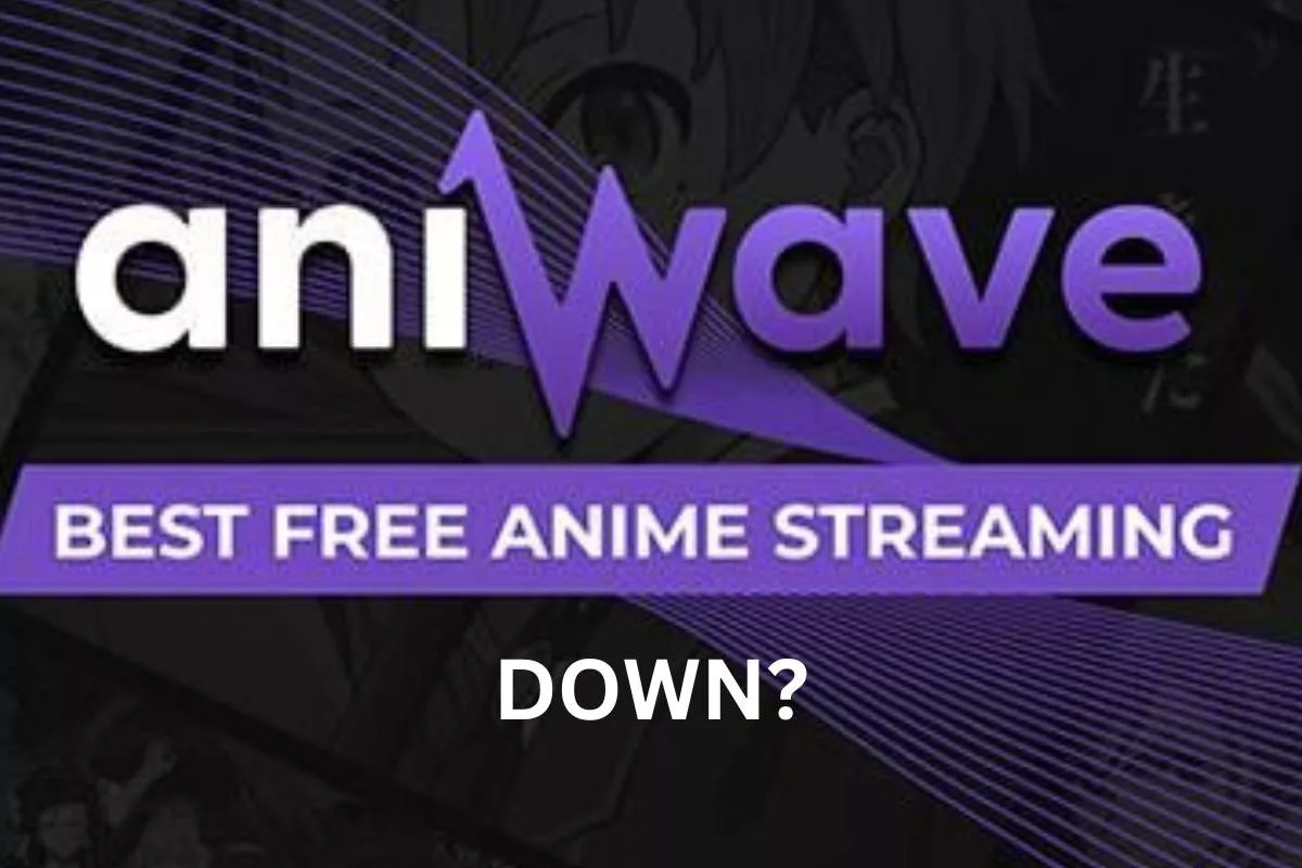 Is Aniwave Down Today 16 January 2024? What Happened To Aniwave Website?
