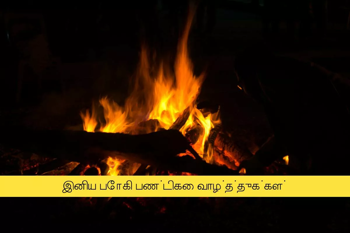 Bhogi Pandigai 2024 Tamil Wishes, Images, Messages, Greetings, Quotes, Shayari, Banners Posters, Captions and Cliparts