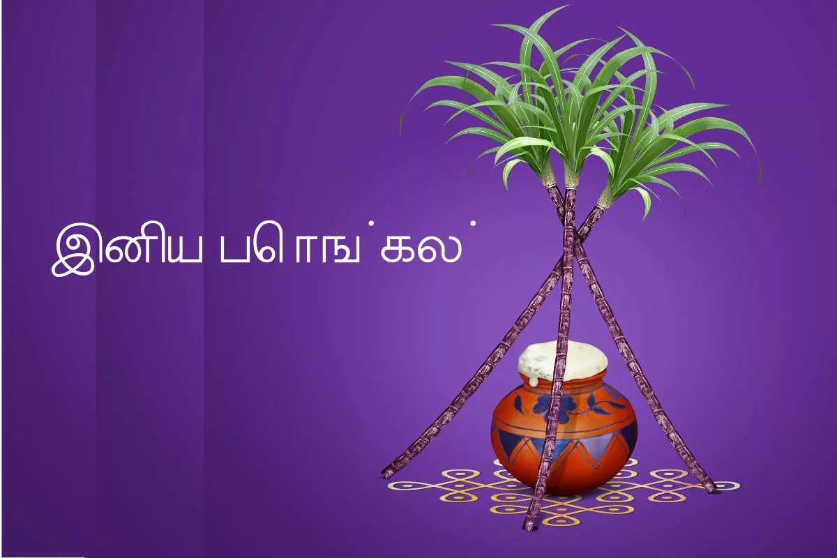 Happy Pongal 2024 Tamil Wishes, Quotes, Images, Messages, Greetings, Shayari, Sayings, Cliparts and Instagram Captions