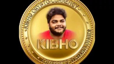 What Is Kibho Coin? Is It Real Or Fake-Scam Review