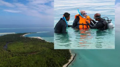 Bollywood Celebrities Fought For Boosting Lakshadweep Tourism After PM Modi's Trip