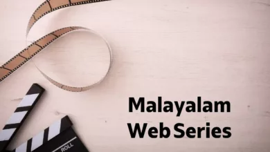 7 Malayalam Hot Web Series To Watch Alone
