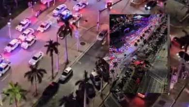 Miami 'Alien Invasion' On New Year's Day Police Clears Up Doubts