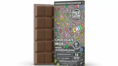 7 Ways To Purchase Mushroom Chocolate Online At Discounted Prices