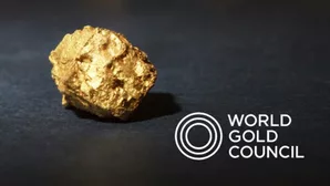 'Diamond to Gold': Sachin Jain to be World Gold Council's India head