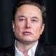 'I don't mean to be a pest': Elon Musk tells Satya Nadella