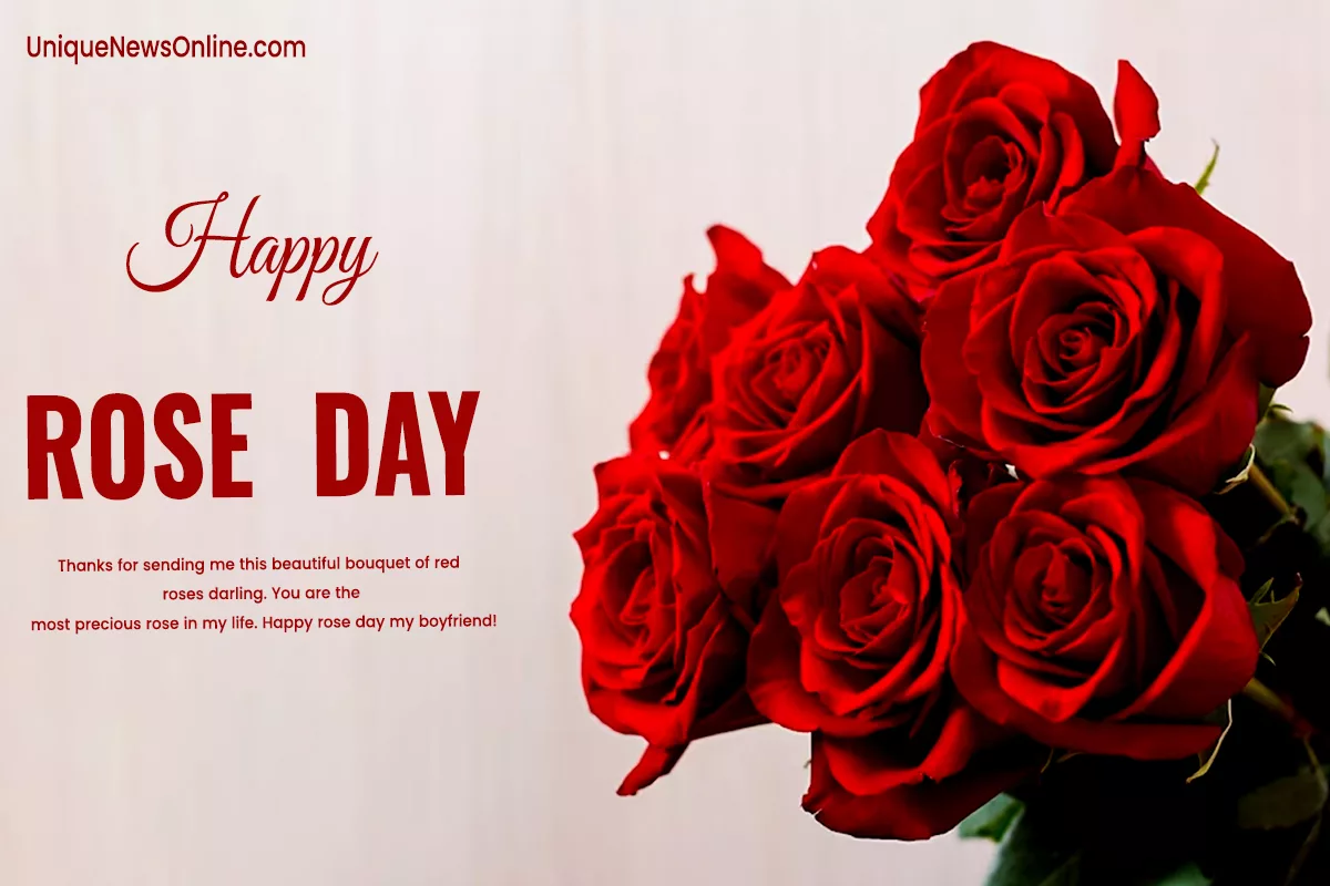Happy Rose Day 2024 Wishes, Images, Messages, Greetings, Quotes, Cliparts, Captions, and WhatsApp Status