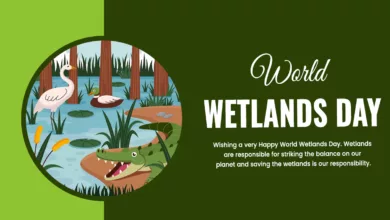 World Wetlands Day 2024 Theme, Quotes, Images, Messages, Posters, Banners, Slogans, Cliparts and Instagram Captions