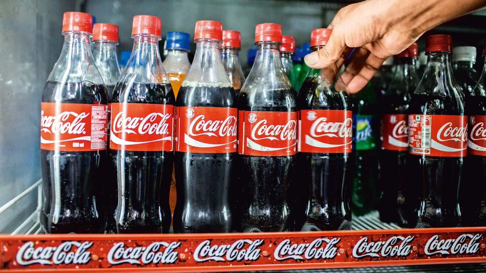 Coca-Cola to build capacity in India after ‘robust’ growth in 2023