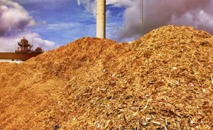 Cooking with biomass fuel in Northeast may pose alarming health risks: IIT-Mandi study