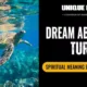 Dream About Turtle Meaning