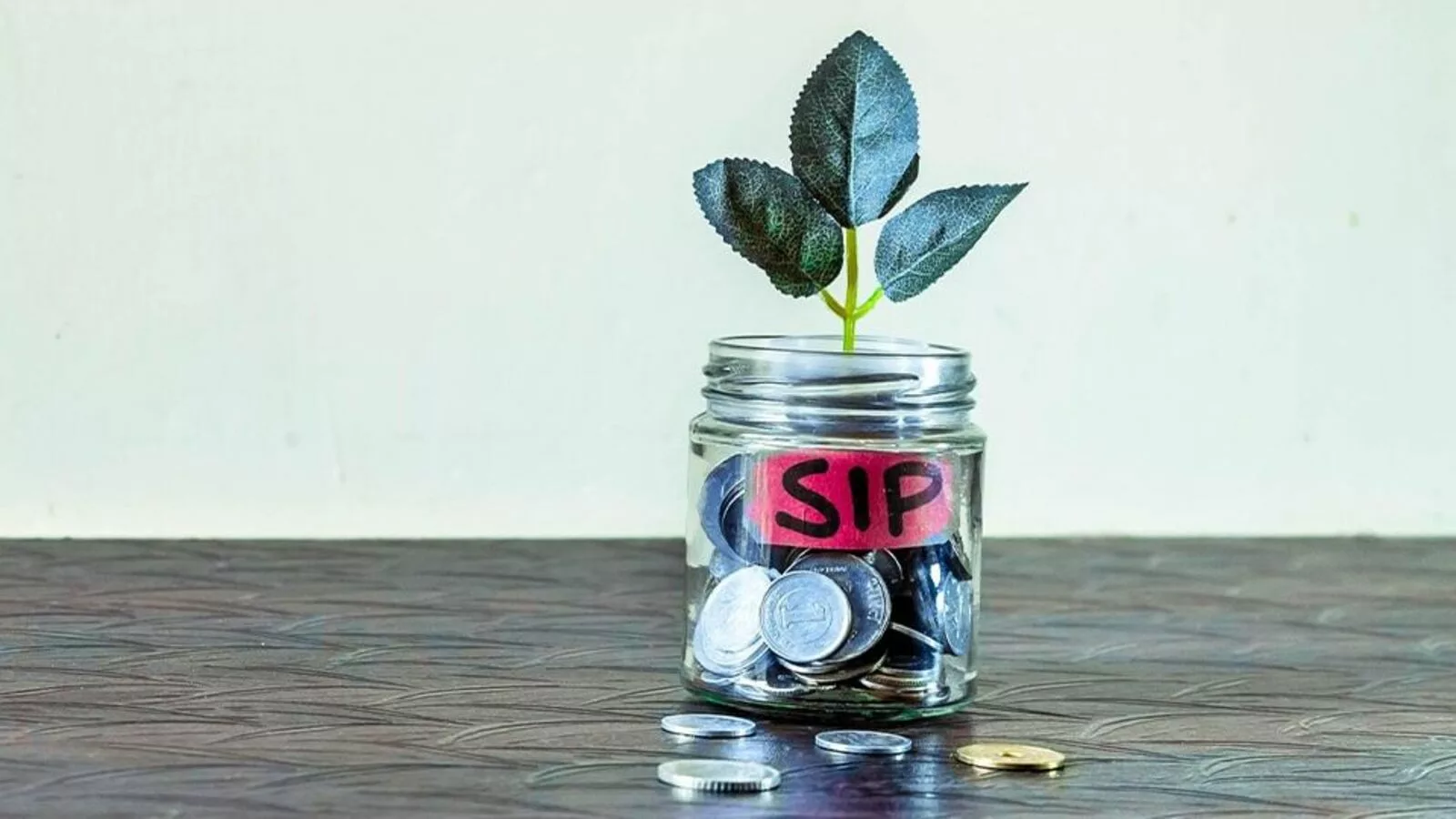 SIP inflows surged to ₹18,838 crore in January, active accounts rose by 1.7 crore: Geojit Report