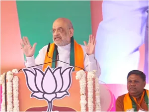 Give all 29 LS seats to BJP: Amit Shah to MP voters