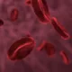 Gut microbes may be behind high blood clot risk in some Covid patients
