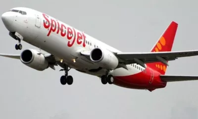 SpiceJet promoter bids for bankrupt Go First: How will it affect budget carrier?