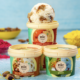 Jungle Ventures infuses another $20 mn in Indian ice cream brand
 Walko Food