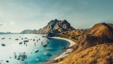Five Reasons to Choose Komodo National Park As your Next Nature Excursion