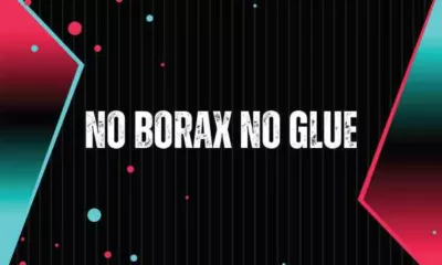 The Viral, 'No Borax No Glue' TikTok Trend Explained