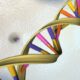 Researchers identify 275 mn new genetic variants: Study