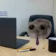 Here's What The Sad Hamster Meme On TikTok Means